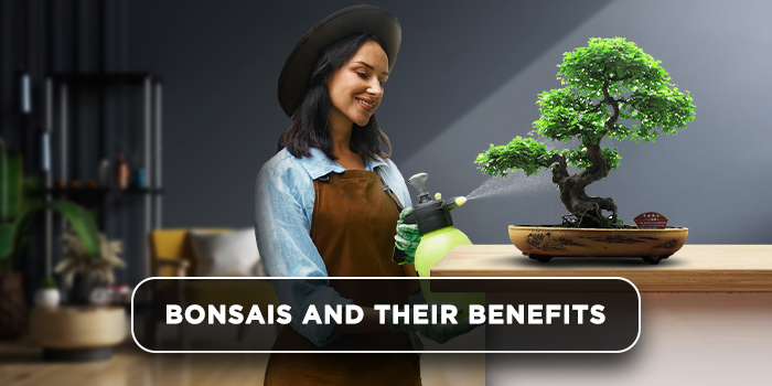 Bonsais and their benefits